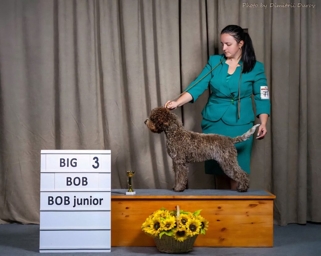 Valburg Lagotto Heaven Sea Of Madness