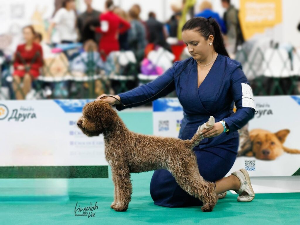 Valburg Lagotto Heaven Sea Of Madness