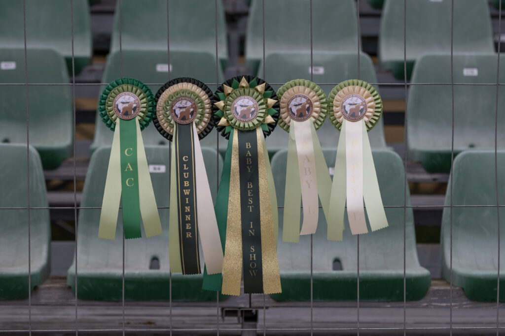 Magyar Retriever és Vízikutya Egyesület Klubgyőztes Kiállítás, 2025.10.04.