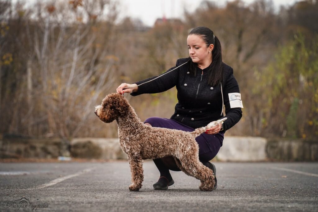Valburg Lagotto Heaven Sea Of Madness