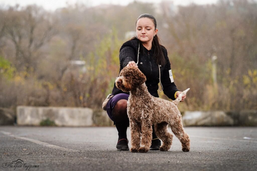 Valburg Lagotto Heaven Sea Of Madness