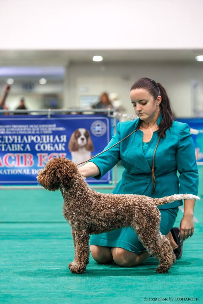 Valburg Lagotto Heaven Sea Of Madness