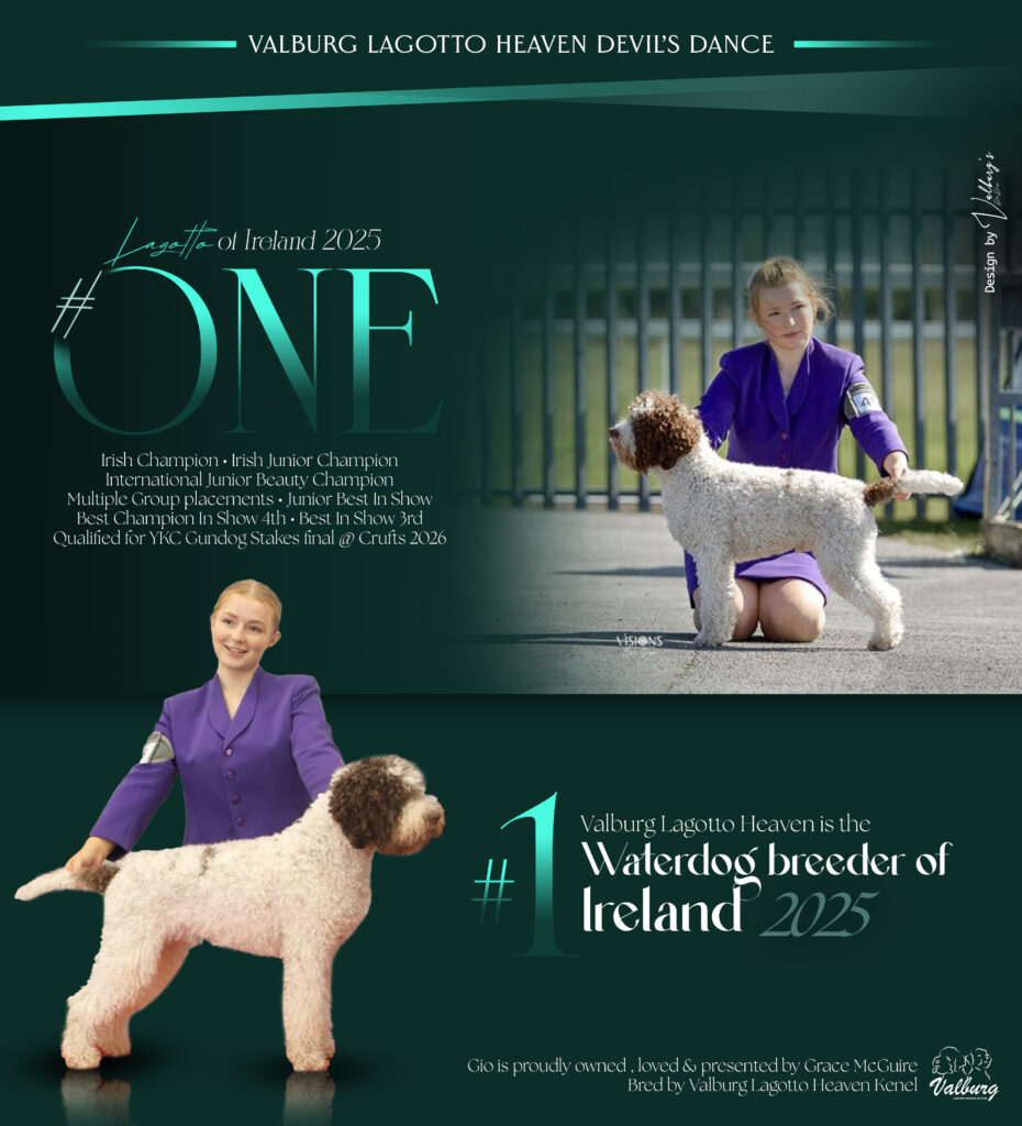 Valburg Lagotto Heaven Devil's Dance