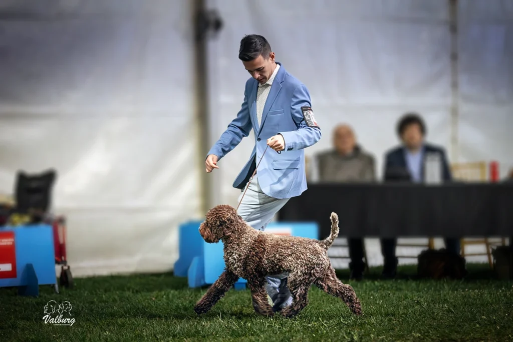 Rozebottel's Viva Life On Mars