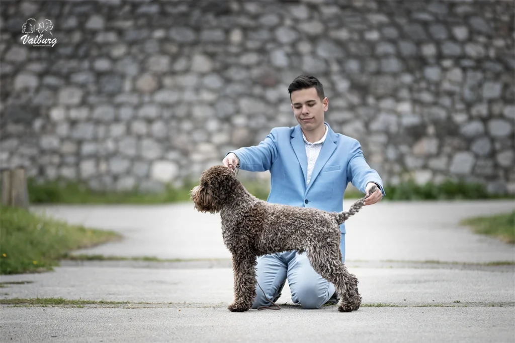 Rozebottel's Viva Life On Mars