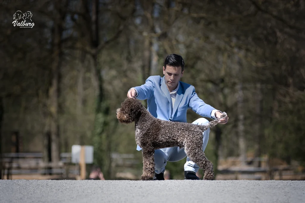 Rozebottel's Viva Life On Mars