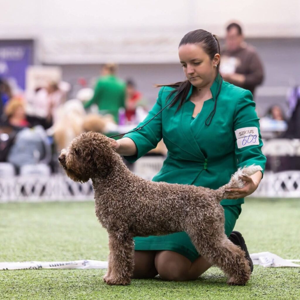 Valburg Lagotto Heaven Sea Of Madness