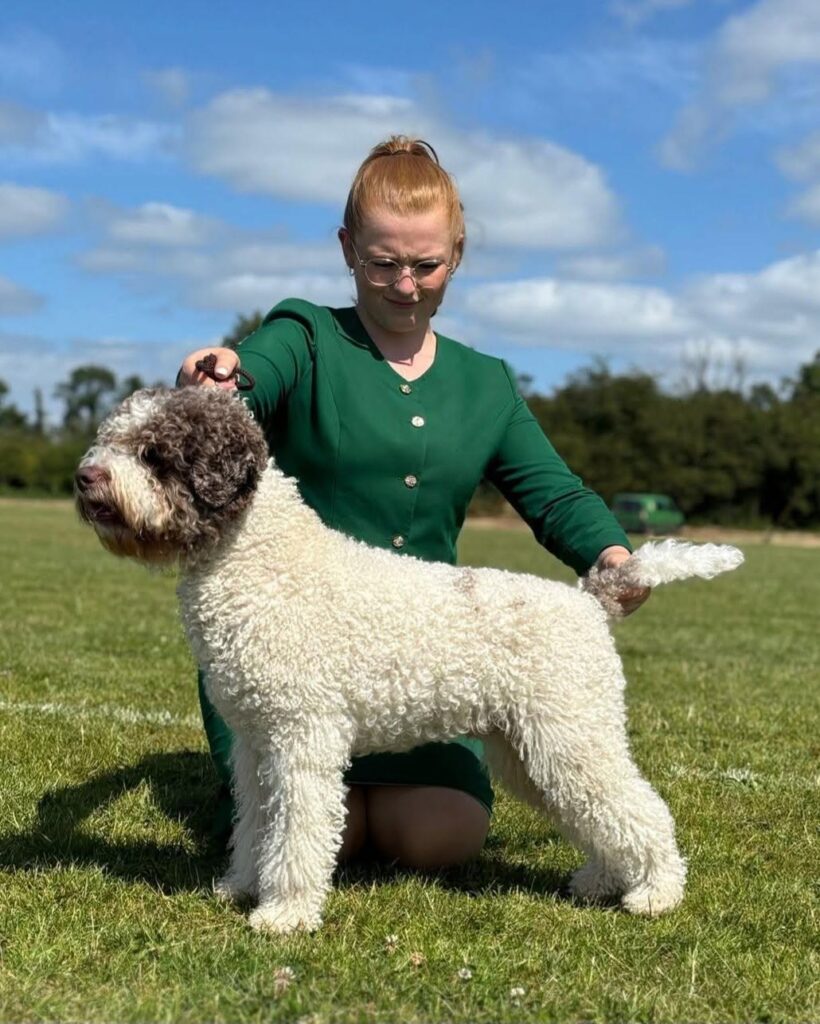 Valburg Lagotto Heaven Devil's Dance