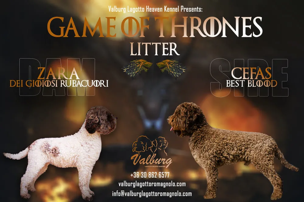 Game Of Thrones litter