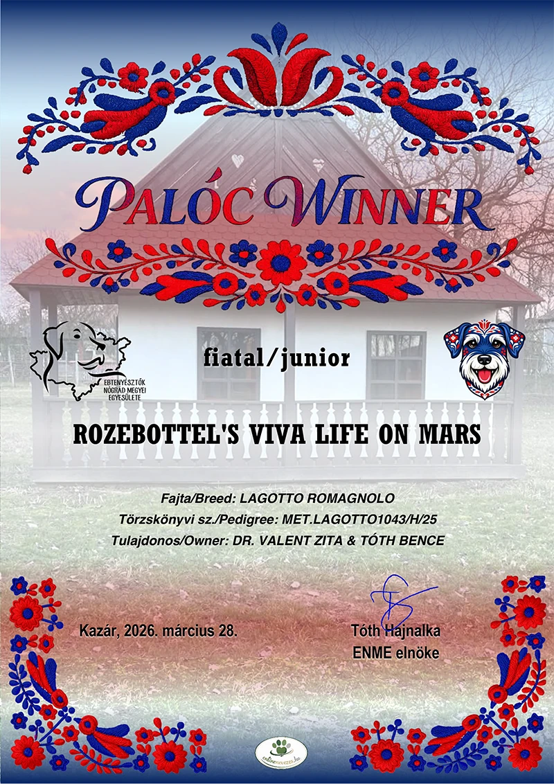 Palóc Junior Winner 2026