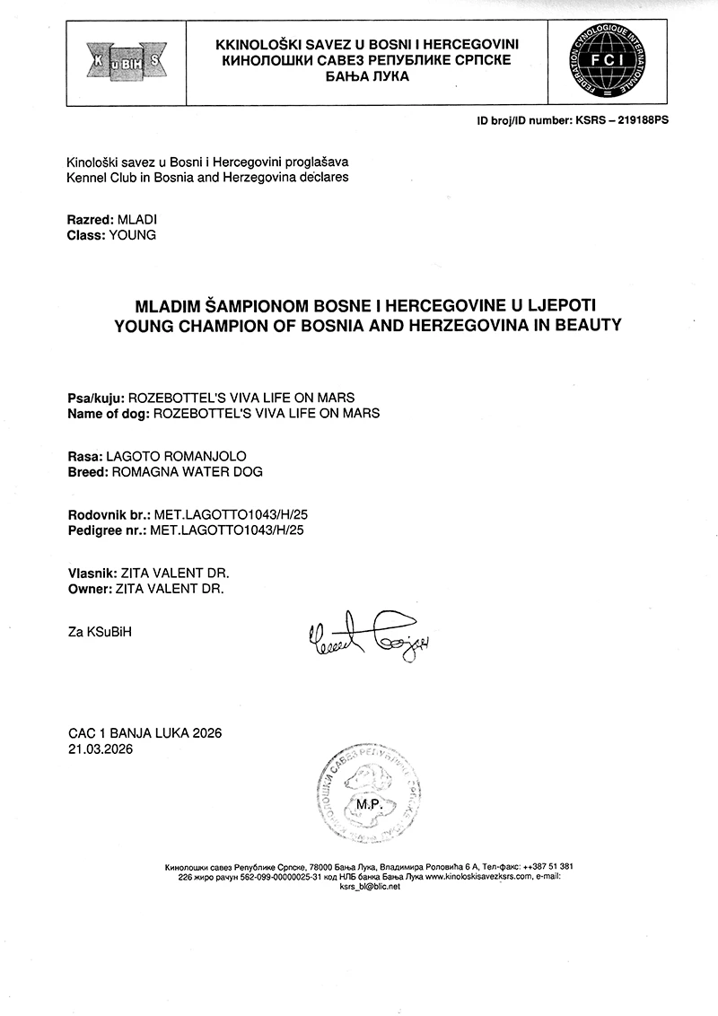 Bosnian-Herzegovinian Junior Champion