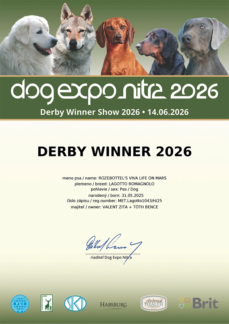 SK Derby Winner 2026