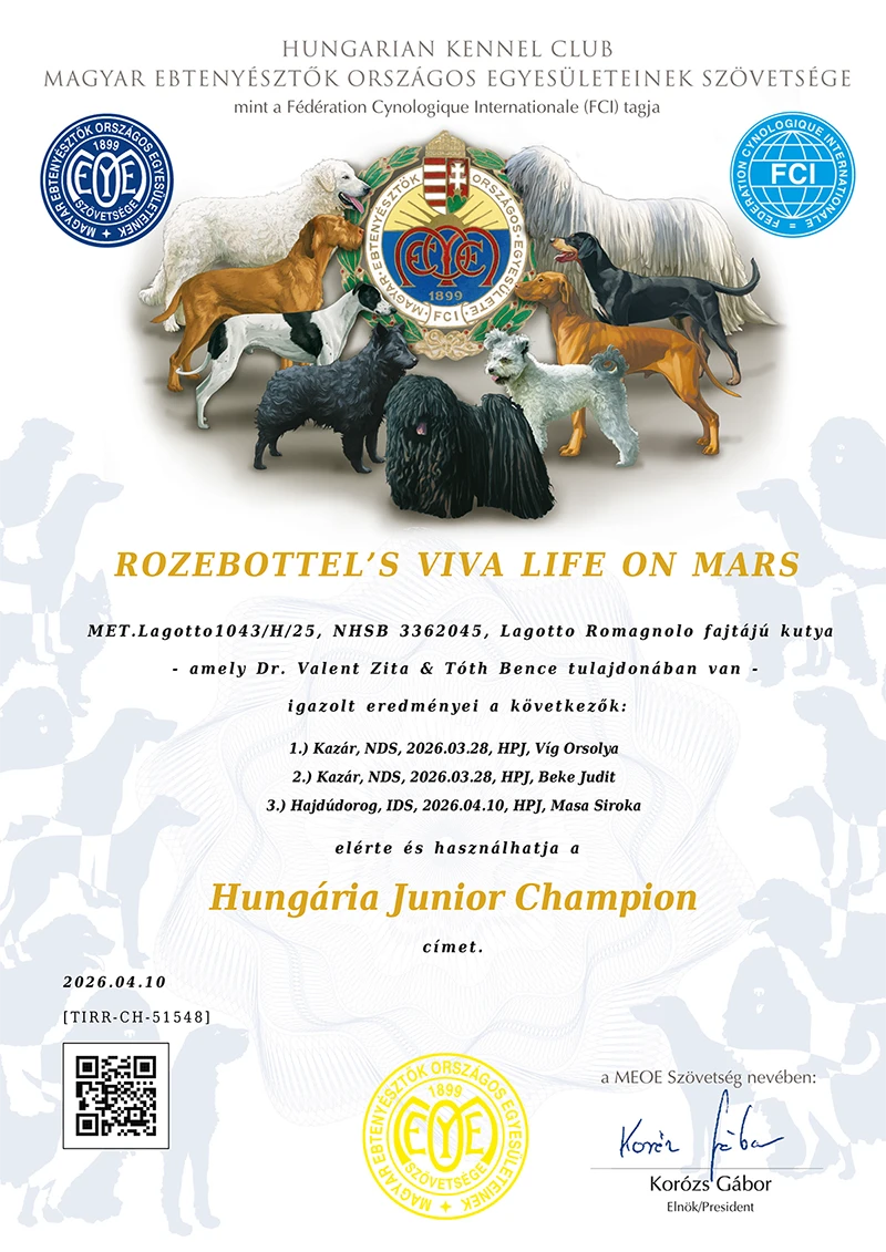 Hungarian Junior Champion