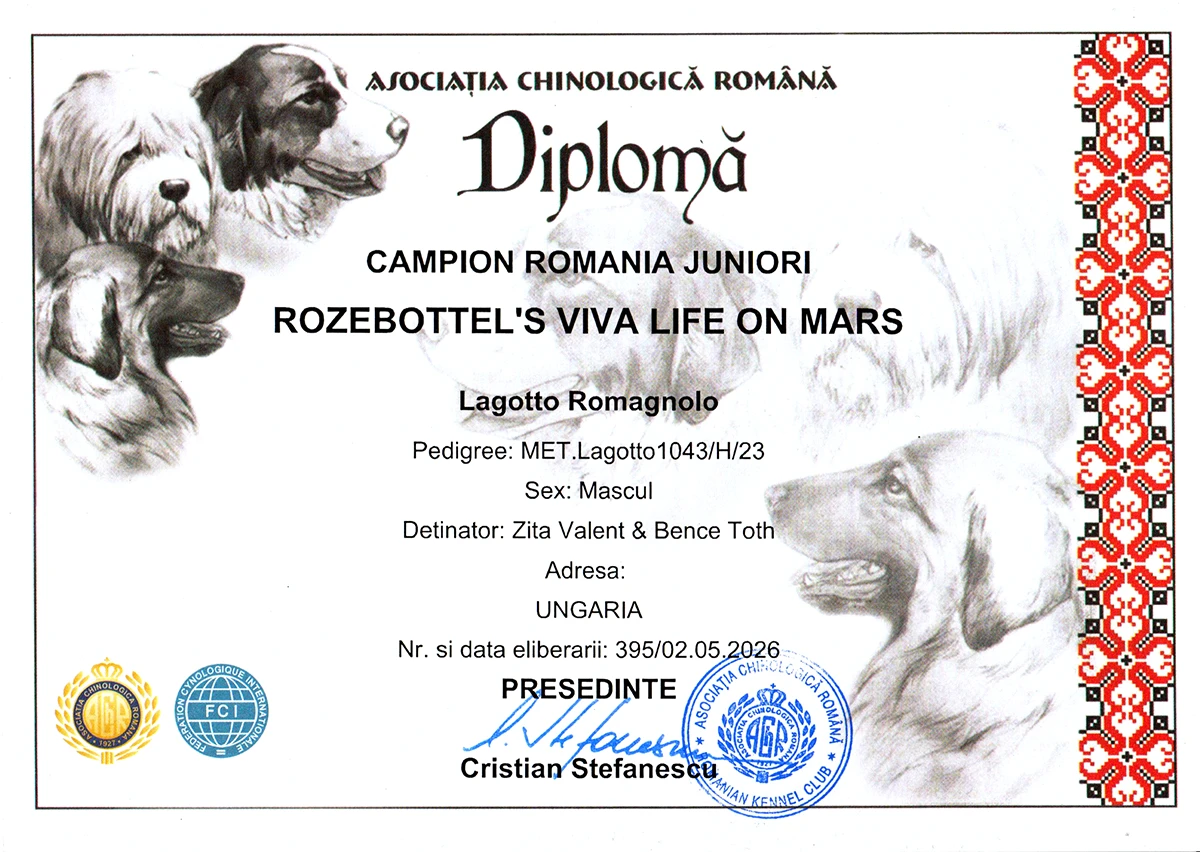 Romanian Junior Champion