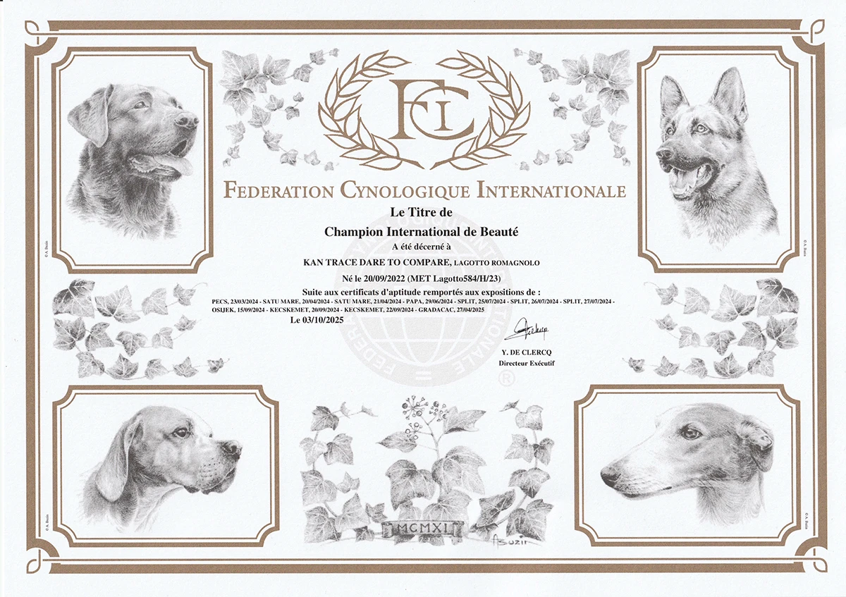 International Beauty Champion