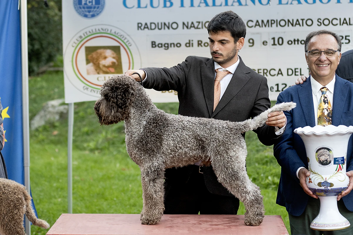 Tamberì Mezza Barba