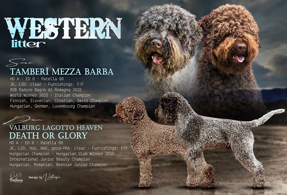 Western litter